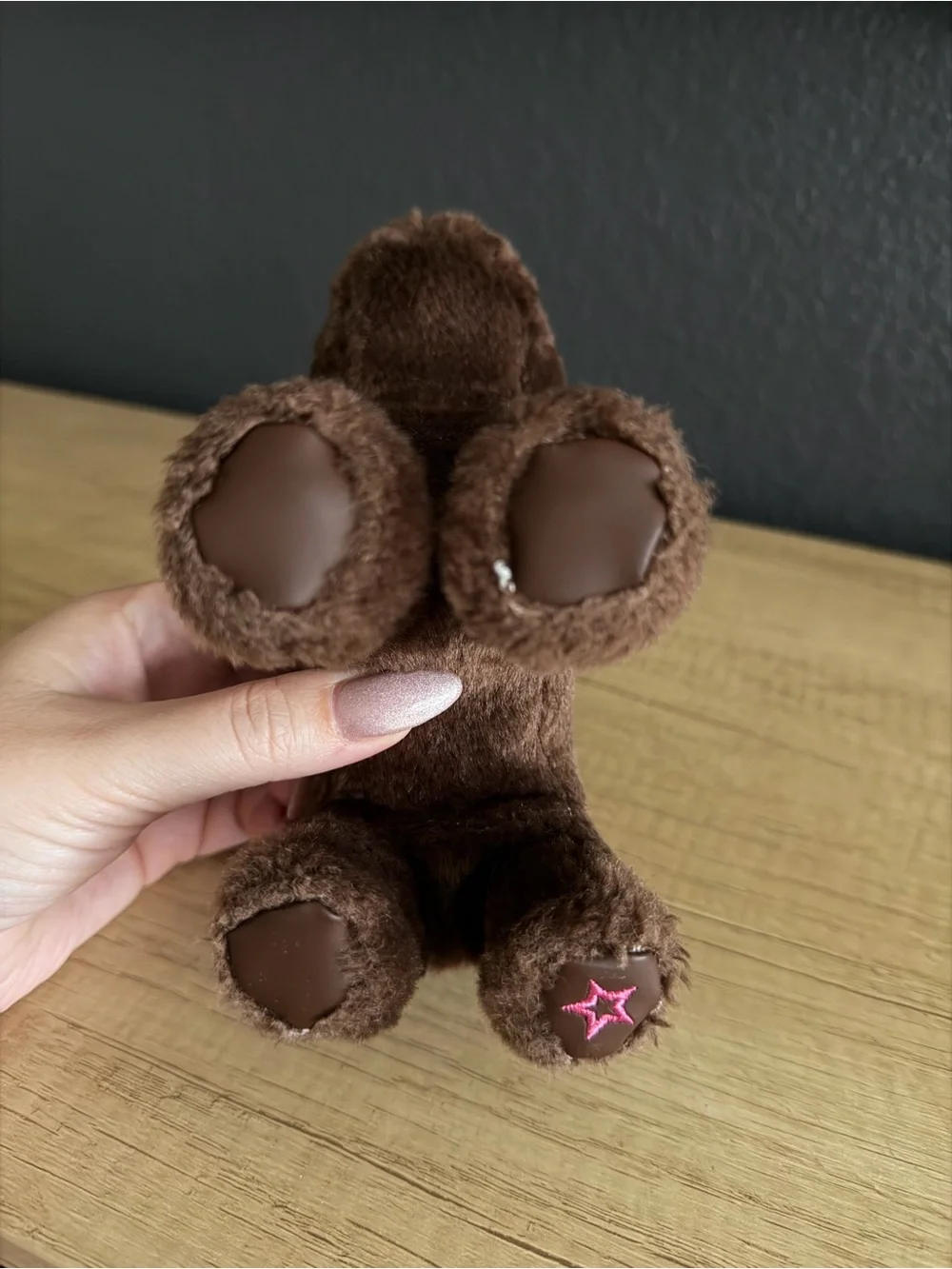 American Girl Truly Me Chocolate Brown Lab Poseable Bendable Pet Puppy Dog